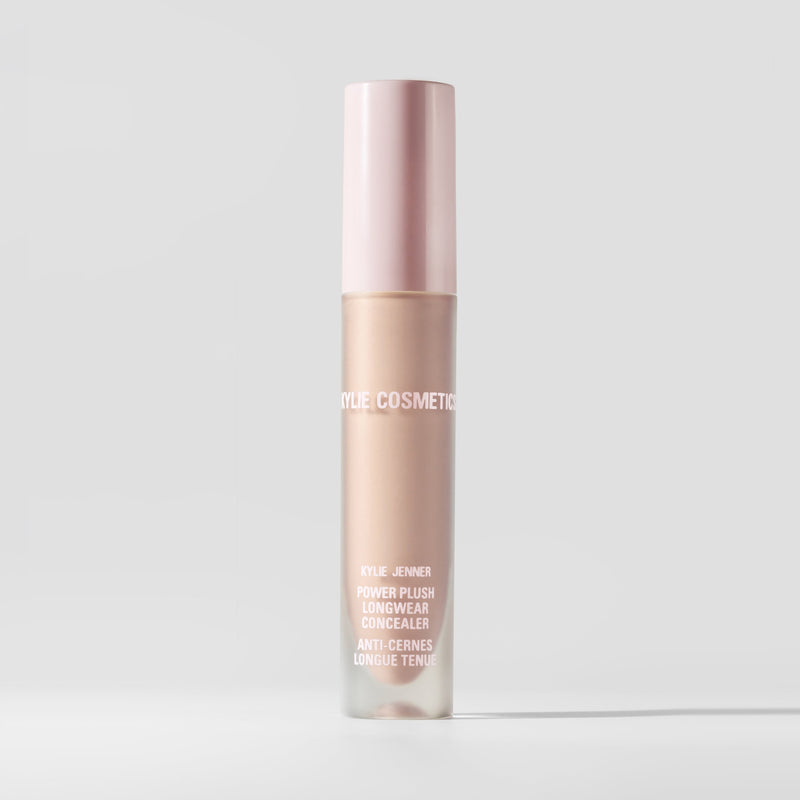 Power Plush Longwear Concealer