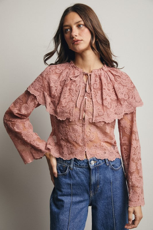 Sheer Embroidered Lace Blouse