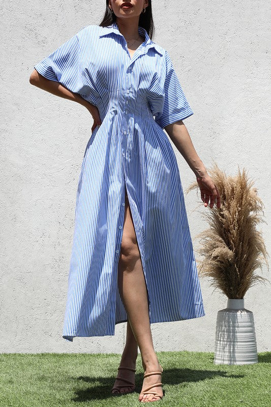 Blue Striped Button Down Dress