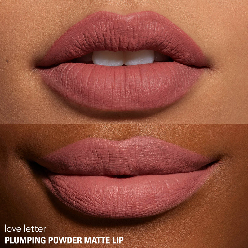 Plumping Powder Matte Lip