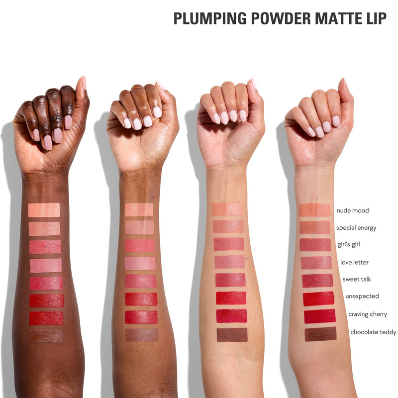 Plumping Powder Matte Lip Bundle